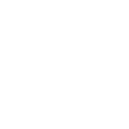 padlock.webp